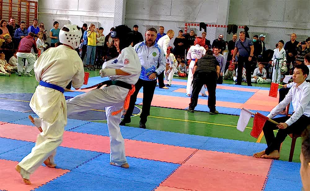 Каратэ в Алматы