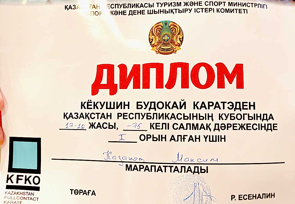 Каратэ в Алматы